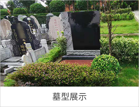 墓型展示